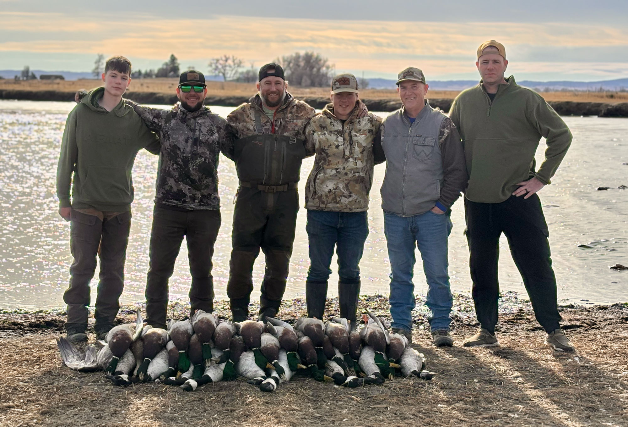 Ducks and geese